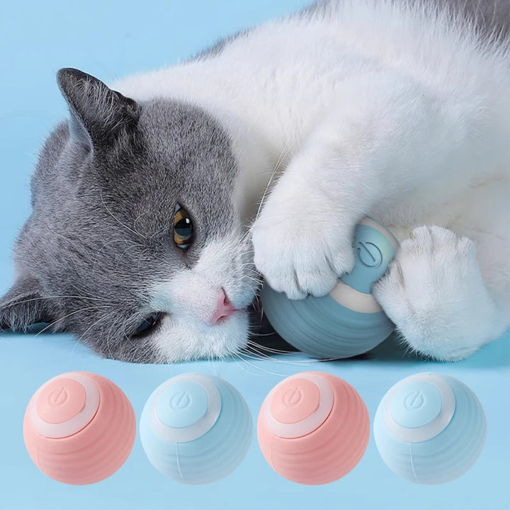 Smart Ball for Cats