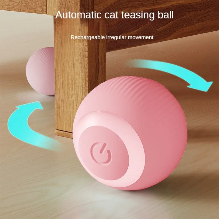 Smart Ball for Cats