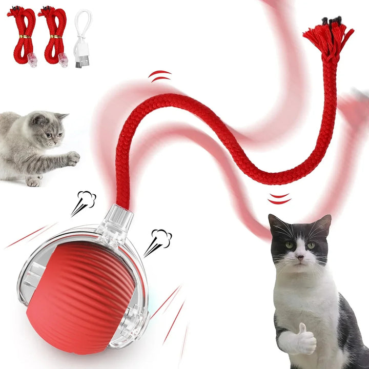 Smart Ball for Cats