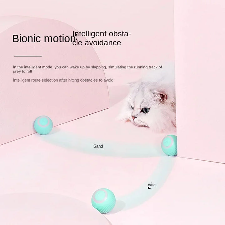 Smart Ball for Cats