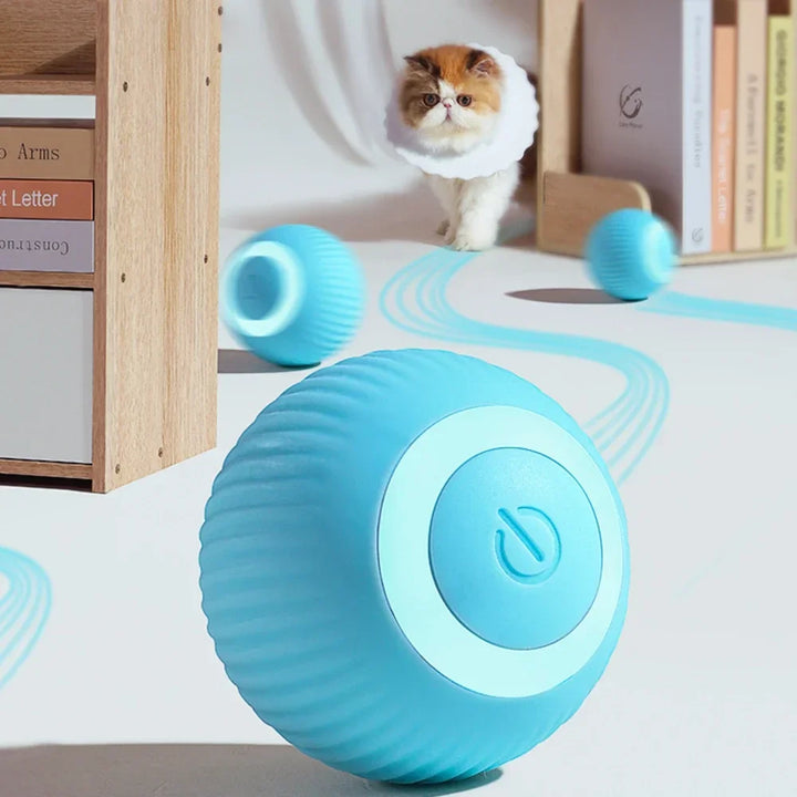 Smart Ball for Cats