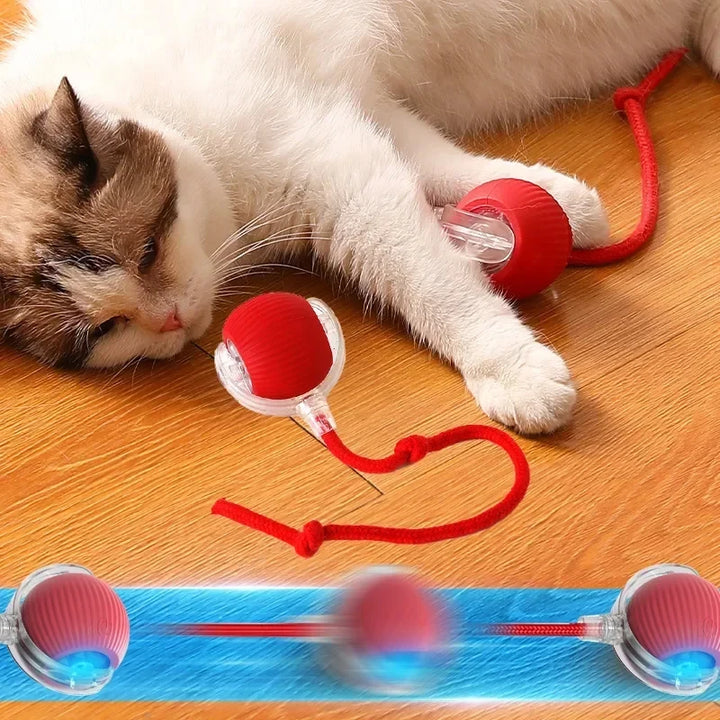 Smart Ball for Cats