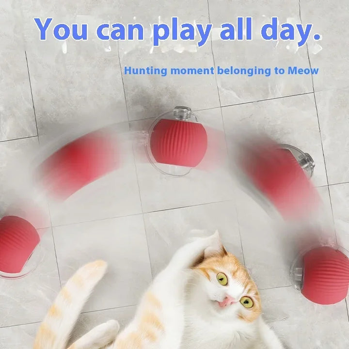 Smart Ball for Cats