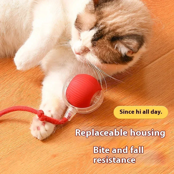 Smart Ball for Cats